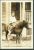 E Stanton Broderick pony ca 1920.jpg